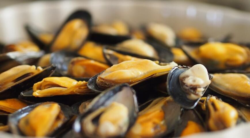 mussels တွင်ပရိုတိန်းအစားအသောက်